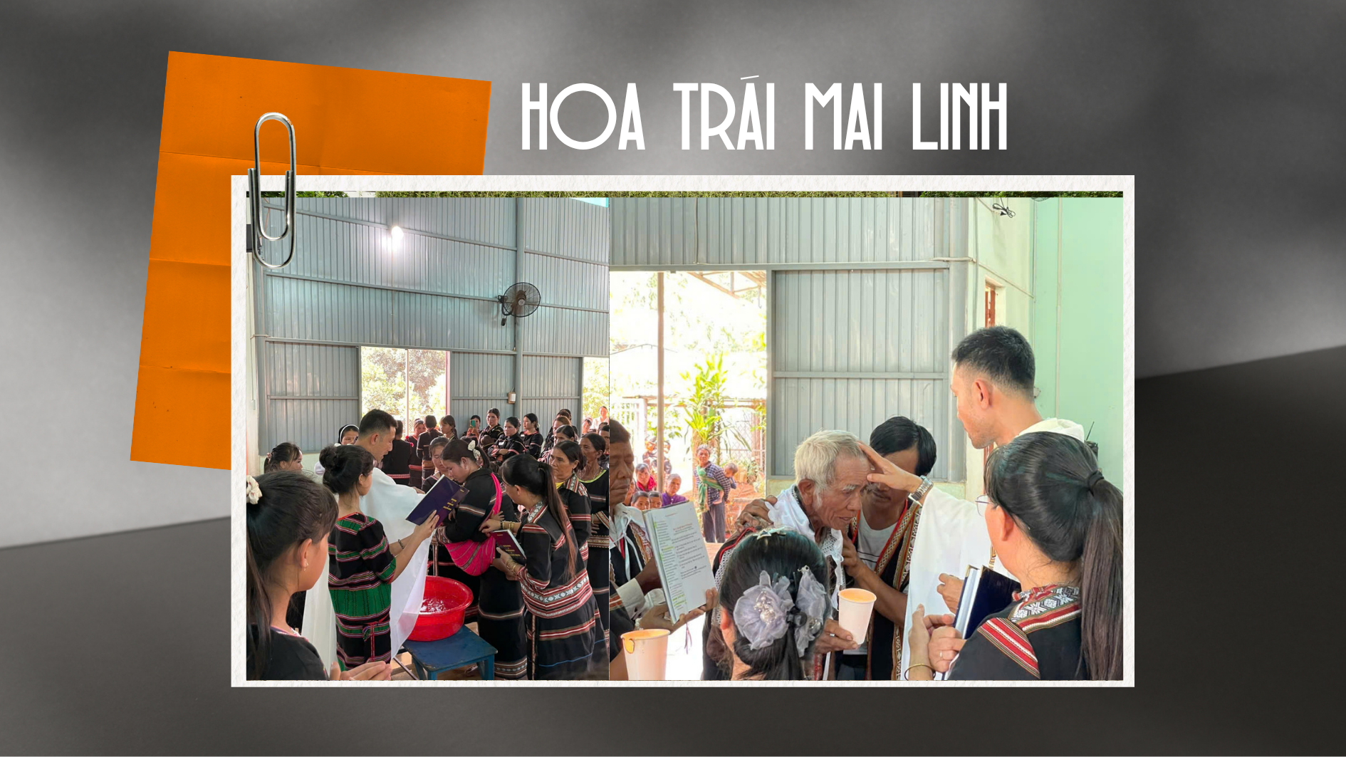 Hoa trái Mai Linh